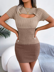 High Waisted Short Sleeves Gradient Hollow Round-Neck Mini Dresses Sweater Dresses