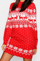 Christmas Winter Dress
