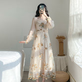 Vintage Mesh Fairy Dress