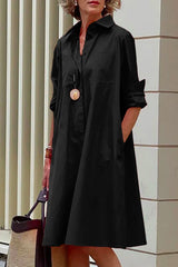 Hoobd Classic Collared Shirt Dress