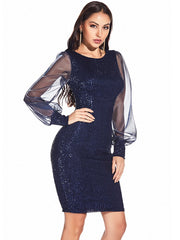 Autumn office bodycon woman dress