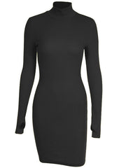 DIRTYLILY Autumn Fashion Sexy Solid Turtleneck Skinny Mini Dress Women Rib Knit Keep Warm Long Sleeve Slim Dress Streetwear