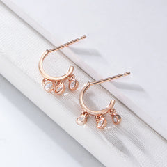 Small Round Zircon Pendant Silver Studs Earrings for Women