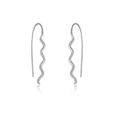 Zircon Wave Silver Hook Earrings for Women