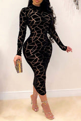 Graphic Print Classic Mesh See-Through Midi Dress