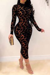 Graphic Print Classic Mesh See-Through Midi Dress