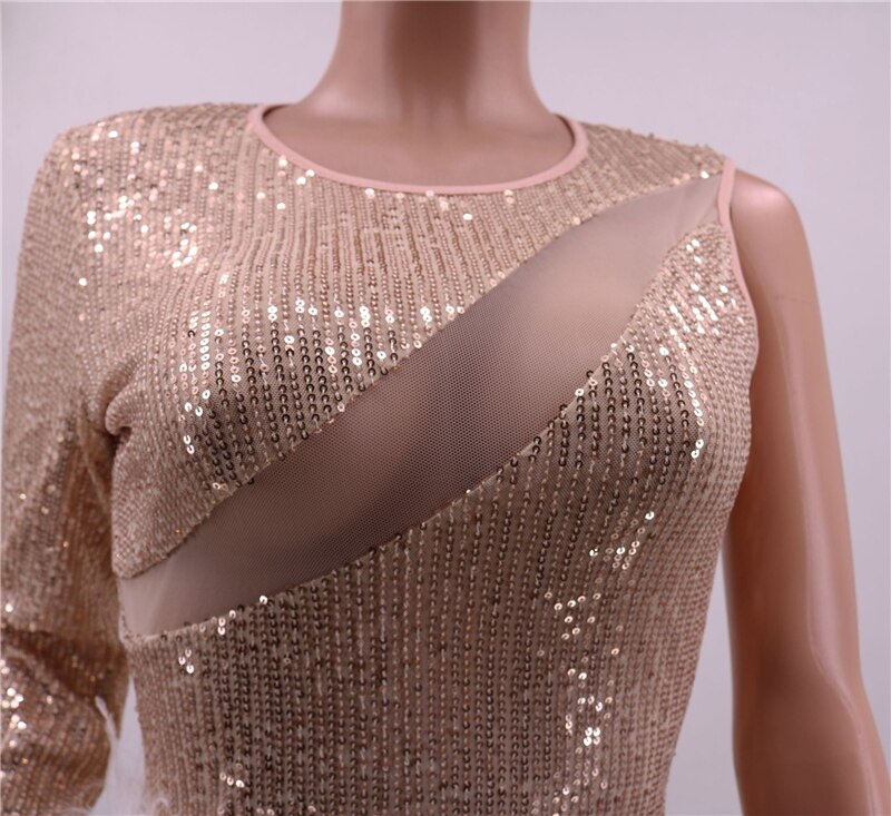 Sheer Mesh Patchwork Feathers Sequins Dress