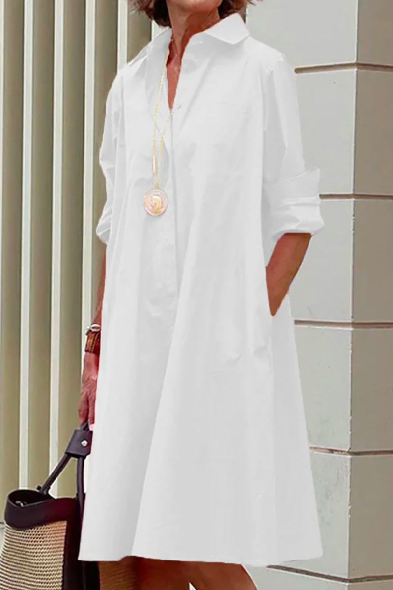 Hoobd Classic Collared Shirt Dress
