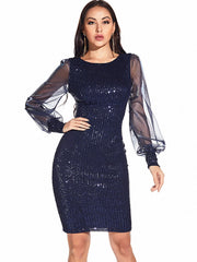 Autumn office bodycon woman dress