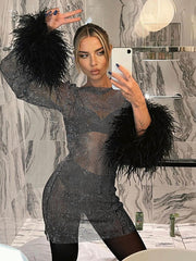 Hoobd Fall Party Dresses For Women Fashion Sexy Feather Patchwork Long Sleeve Mesh Dress Women Autumn See-through Bodycon Package Hip Party Night Club Dresses