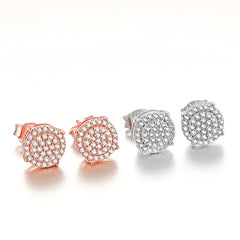 Zircon Round Silver Studs Earrings for Women