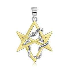 Golden Hexagonal Star with Entangled Snake Silver Necklace