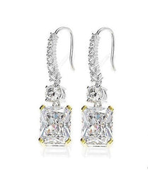 Rectangle Zircon Silver Hook Earrings