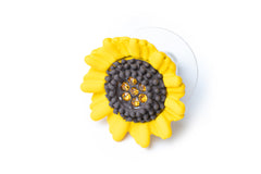 Water Melon X Sunflower Studs Earring